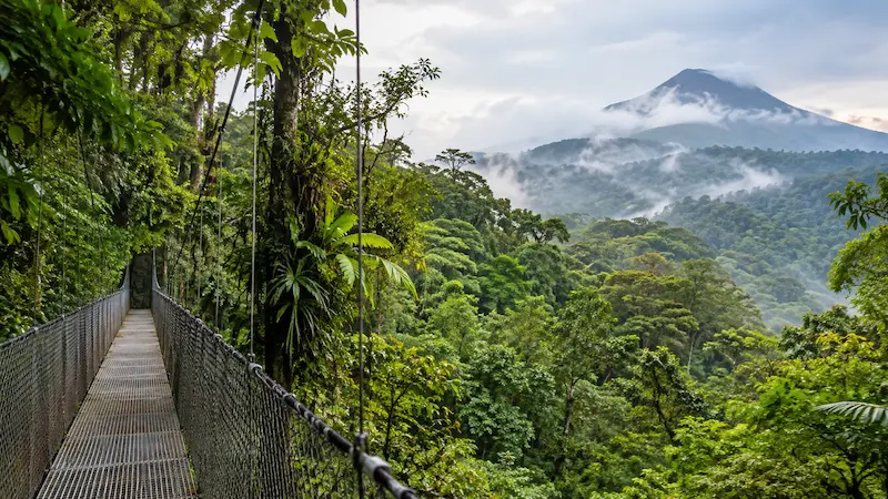 Paisaje ilustrativo de naturaleza tropical de Costa Rica